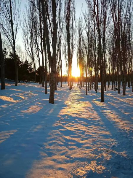 秋冬图片大全哪里找_如何挑选高清素材
