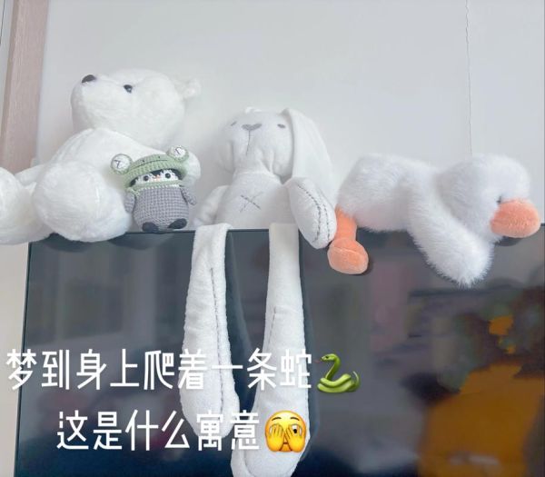 梦到小花蛇是什么意思_梦到小花蛇是吉是凶