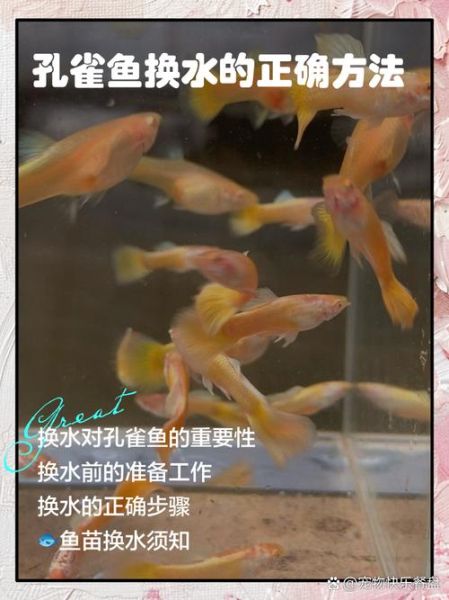 小鱼宝宝怎么喂养_小鱼宝宝多久换一次水