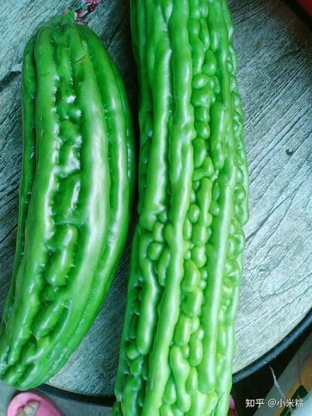 梦到苦瓜是什么意思_苦瓜梦境解析