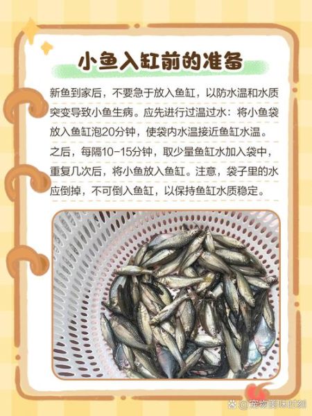 小鱼宝宝怎么喂养_小鱼宝宝多久换一次水