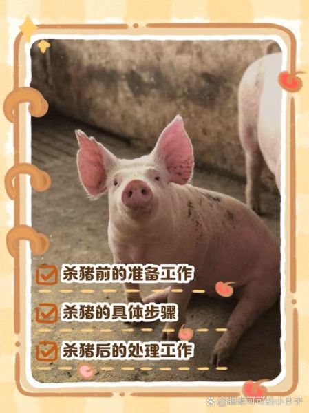 杀猪图片大全大图_高清流程图解