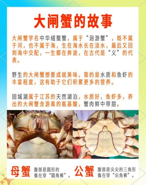 怀孕梦到螃蟹是什么意思_孕妇梦见螃蟹生男生女