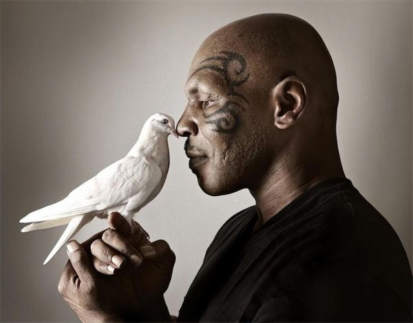 泰森图片大全_如何获取高清拳王泰森照片