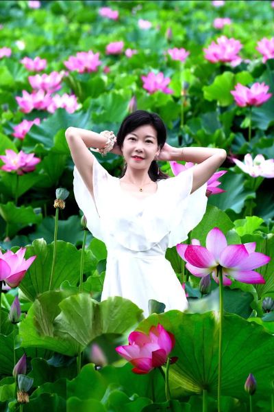 荷花图片大全高清图片_荷花怎么拍才好看