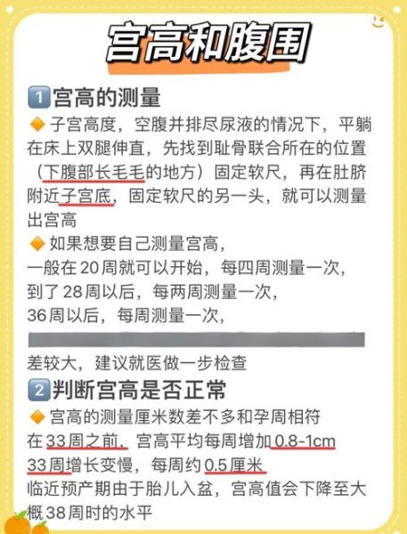 宝宝腹围偏大是什么原因_需要做什么检查