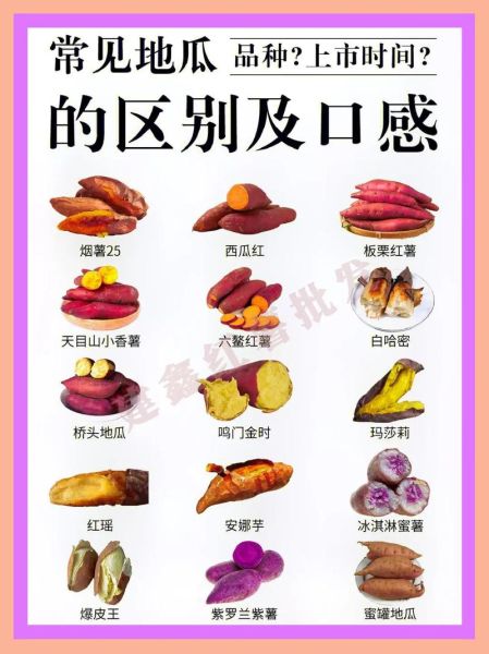 山芋图片大全_山芋和红薯的区别是什么