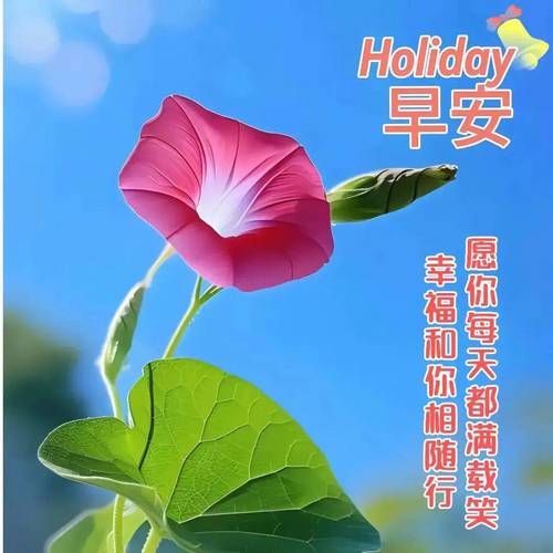 微信问候图片怎么找_微信图片大全哪里下