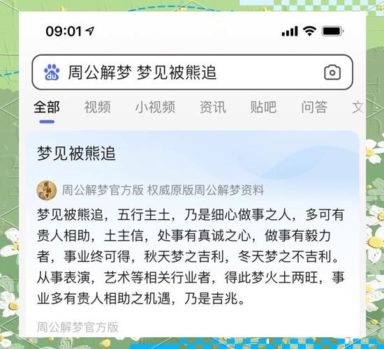 梦到被熊追是什么意思_被熊追的梦境解析