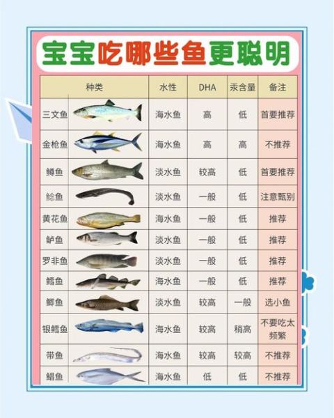 宝宝吃什么鱼比较好_宝宝多大可以吃鱼