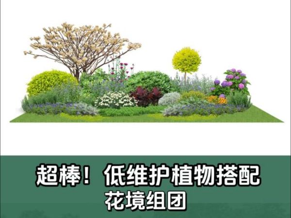 花卉组合图片大全_如何搭配出高颜值花境