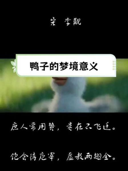 梦到一只鸭子是什么意思_梦见鸭子预示什么