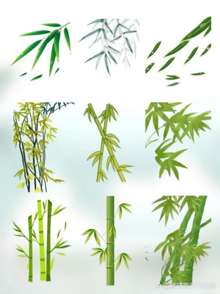 竹子图片大全_如何挑选高清素材