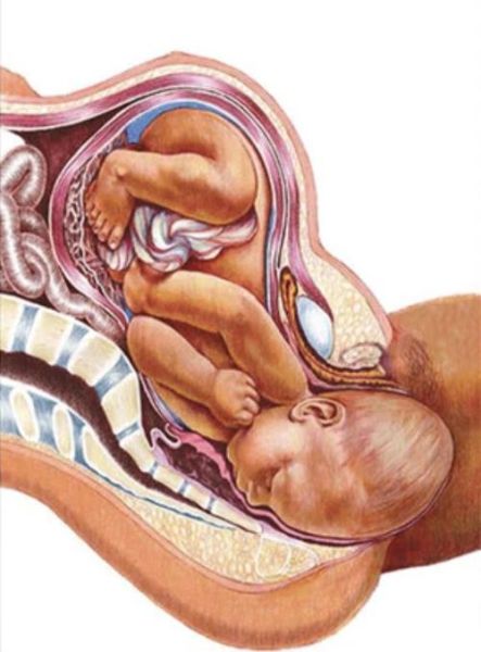 生孩子图片大全_孕妇分娩真实过程图解