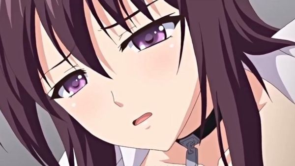 牝教师迅雷下载_哪里能找到无删减资源