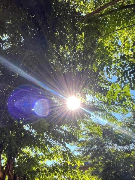 阳光的图片大全怎么找_阳光图片有哪些风格