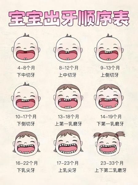 宝宝什么时候开始长牙_宝宝长牙顺序是怎样的