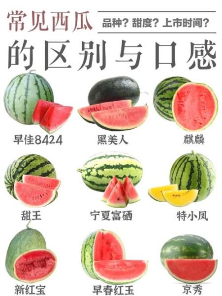 西瓜宝宝怎么挑选_西瓜宝宝怎么保存