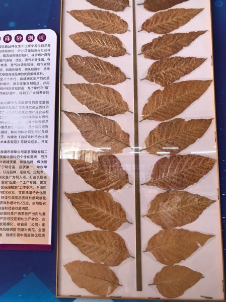 烟叶图片大全_烟叶种类有哪些