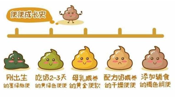 宝宝拉绿色粑粑怎么办_新生儿绿便正常吗