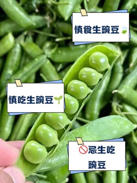 宝宝吃豌豆会过敏吗_宝宝几个月能吃豌豆