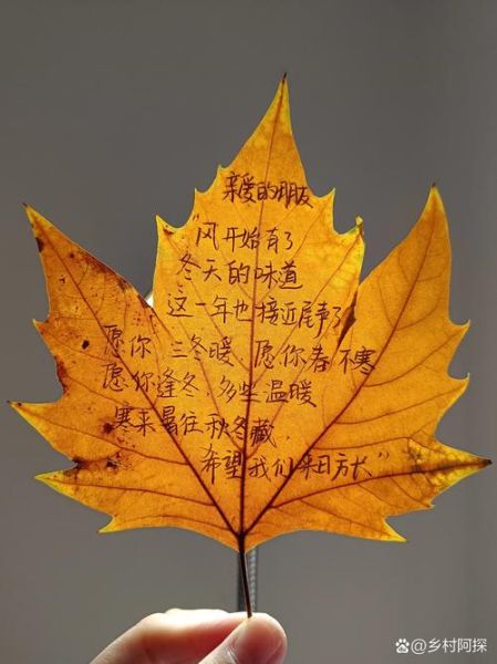 叶子带字图片大全_怎么制作叶子带字图片