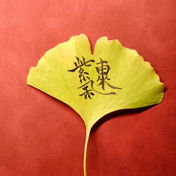 叶子带字图片大全_怎么制作叶子带字图片