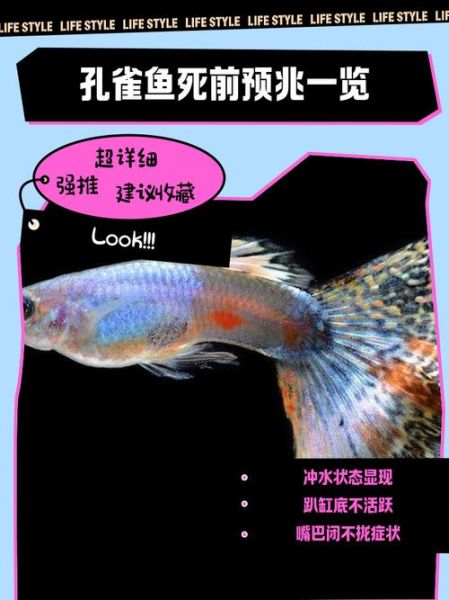 梦到鱼死了是什么意思_梦见鱼死了预示什么