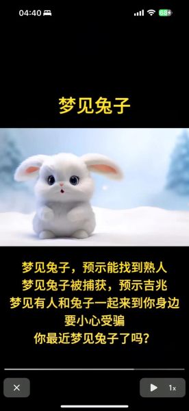 梦到老鼠和兔子_有什么预兆