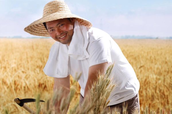 农民图片大全大图_高清素材哪里找