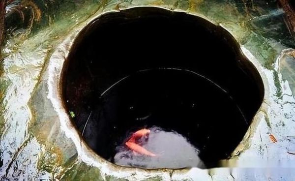 梦到掉井里是什么意思_掉井里预示什么