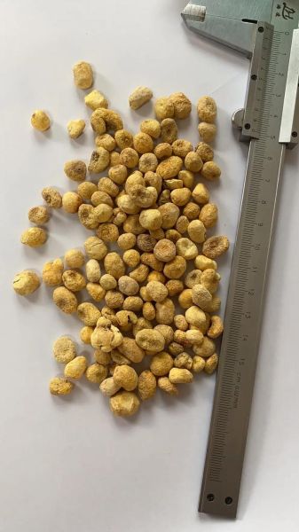 半夏图片大全_如何辨别真假半夏