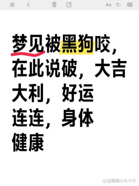 梦到一群小黑狗_是什么意思