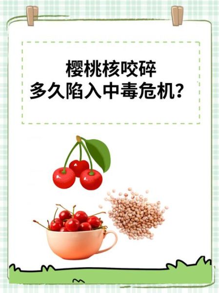 2岁宝宝误吞樱桃核怎么办_会中毒吗