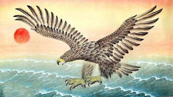 鹏图片大全_鹏鸟高清图哪里找