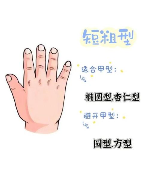 手指头图片大全_手指类型图解