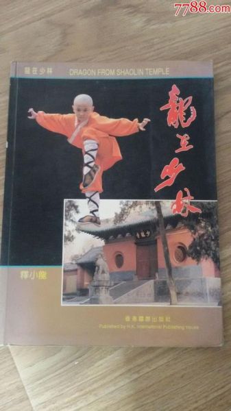 龙在少林迅雷下载_龙在少林哪里能看高清