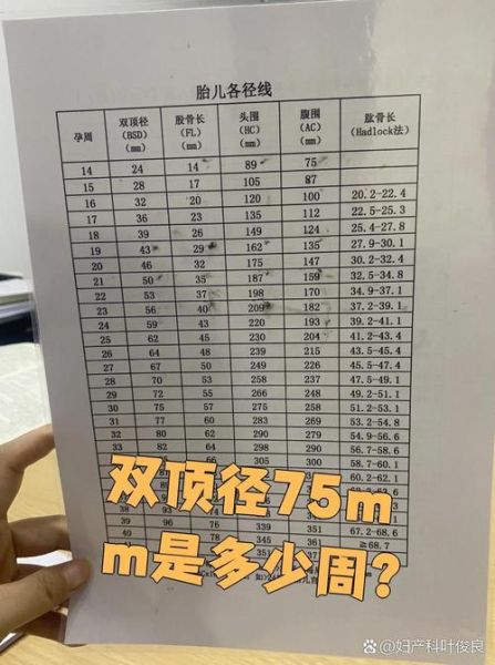 怀孕30周宝宝有多重_30周胎儿体重标准