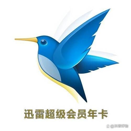 北京迅雷下载速度慢怎么办_迅雷会员值得买吗