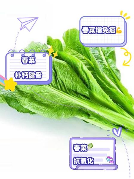 春菜迅雷下载_春菜bt资源在哪找