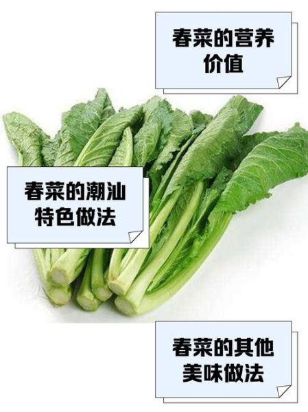 春菜迅雷下载_春菜bt资源在哪找