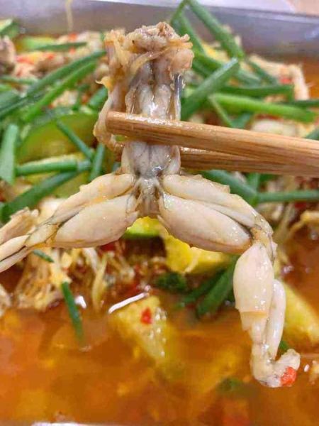 田鸡图片大全_田鸡长什么样