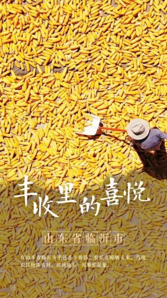 丰收图片大全_如何挑选高清素材