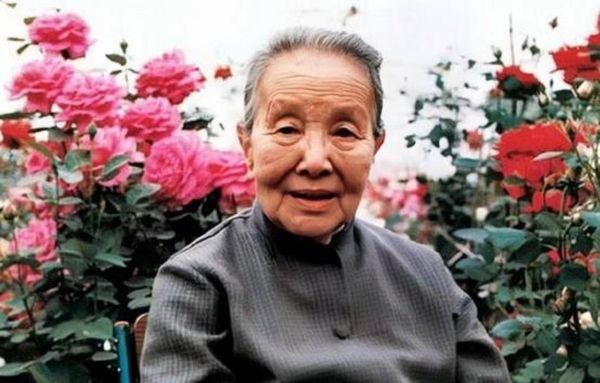 冰心图片大全_冰心照片哪里找