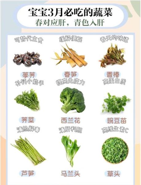 宝宝便秘吃什么蔬菜_怎么选