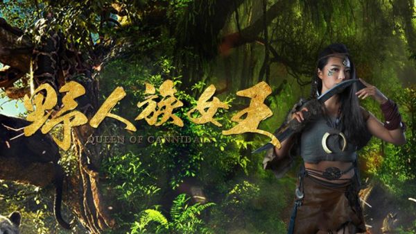 不二神探迅雷下载_哪里能看高清完整版