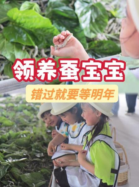 蚕宝宝图片大全_如何饲养蚕宝宝