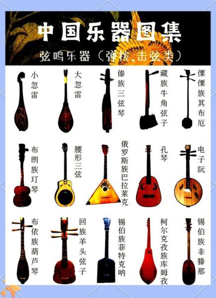 乐器大全有哪些_初学者如何挑选