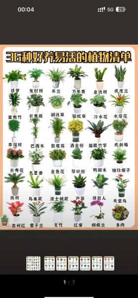 草木图片大全_如何识别常见植物