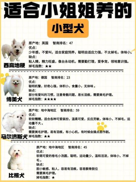 犬图片大全哪里找_小型犬品种图鉴